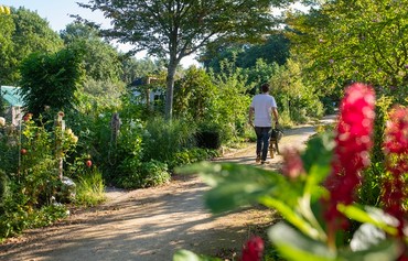 Volkstuin Aan De Dongenseweg Foto Maria Van Der Heyden Lr